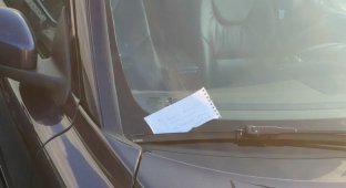 Unusual note under the car wiper (2 photos)