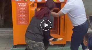 В Китае появились автоматы-душевые для питомцев