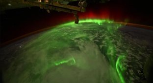 Космический шторм: астронавты Crew Dragon сняли с орбиты редчайшее «извивающееся» полярное сияние (2 фото + видео)