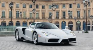 The Rarest Ferrari Enzo Is Sold for $6 Million (14 photos)