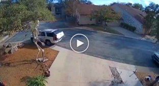 Дивна спроба крадіжки на Хелловін