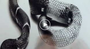 Мастер 3D живописи  оживил  змею на листе бумаги