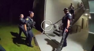 Незвичайна знахідка: алігатор проник у житловий будинок в Орландо