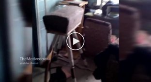 Боевики ДНР устроили стрельбу в детском садике