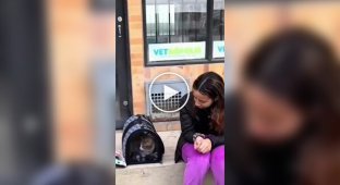 Коли вибрав поїздку в економ-класі