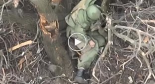 Украинские дроны-камикадзе уничтожают российских оккупантов на Авдеевском направлении