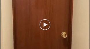 Колоритный туалет поклонника фильма Стэнли Кубрика ., Стэнли Кубрик, внезапно, сияние, туалет