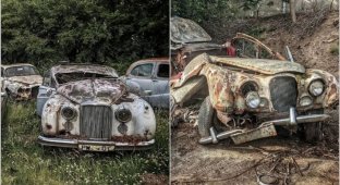 12 photos from a cemetery of old luxury cars that was discovered in Scotland (13 photos)