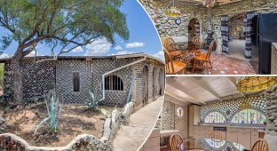 House made from thousands of glass bottles is up for sale for $432,500 (27 photos)