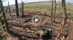 Liquidated occupiers near Ukrainian positions in the Kharkov region