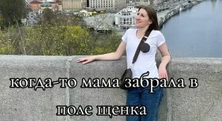 Подобрали в поле щеночка (3 фото)