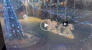 In Kazakhstan, a 56-year-old man burned a New Year tree in the city center