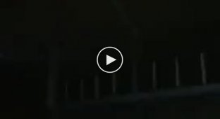 Жаркая посадка рейса Лондон - Болонья