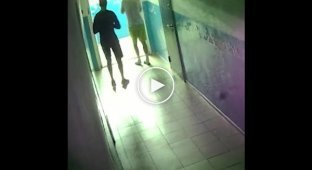 Пьяный студент открыл стрельбу в общежитии в Краснодаре