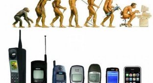 Эволюция человечества и не только (37 фото)