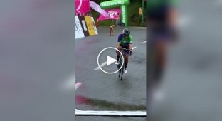 Собака внезапно появилась на трассе посреди велогонки в Колумбии