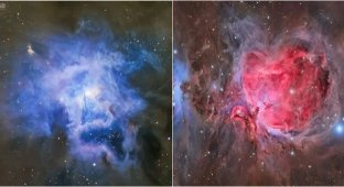 Миллиарды световых лет красоты: Звездные оранжереи к 8 Марта (5 фото)