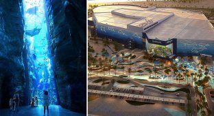 В Абу-Даби строят морской парк c крупнейшим в мире аквариумом (7 фото)