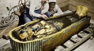 Проклятие Тутанхамона или как поплатились археологи за свое открытие (8 фото)