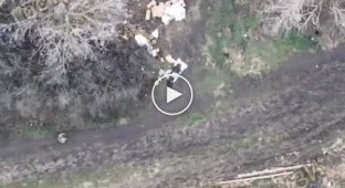 Охота на охотника, охотящегося на украинские дроны