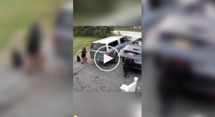 Подборка невнимательных людей