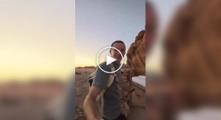 Crazy Airbnb Accommodation