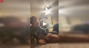 Игры со щенком пошли не по плану