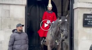 Guards horse taught a lesson to impudent tourist