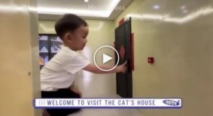A family from China made their furry a whole apartment inside their apartment