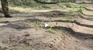 Интересный способ обезвредить мину Лепесток у украинского солдата