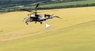 И враги не нужны, сами испортим технику. Видео российского Ка-52 со сломанной хвостовой балкой