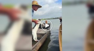 A Chinese fisherman and his pets