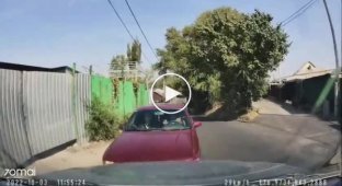 Defender of traffic offenders made a small accident