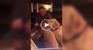 Owner pretends to treat his dog to stop him from being jealous