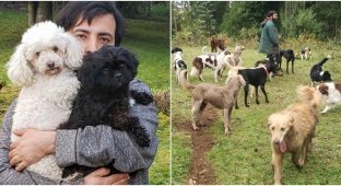 A family with 30 animals found a home thanks to social networks (15 photos)