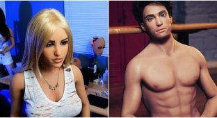 Тысячи британцев признались, что хотят попробовать секс с роботом (6 фото)