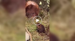 Первый день на работе