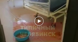 Уборщица умыла пациентку одной из больниц Миасса грязной тряпкой