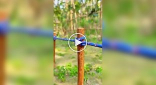 Вузли на всі випадки життя