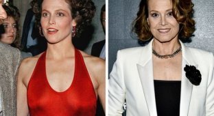 Як виглядали в молодості знамениті актриси, яким сьогодні вже за 70 років (15 фото)