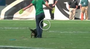 When the girl and her dog entered the field, the audience forgot about the sports show