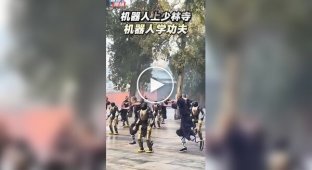 Robots performed together with Shaolin masters