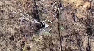 Avdiivka direction, a Ukrainian drone drops a grenade into a Russian military trench