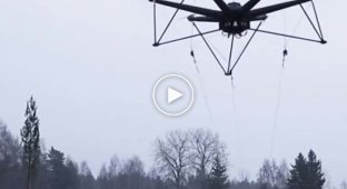How soon will they start collecting forests using drones?
