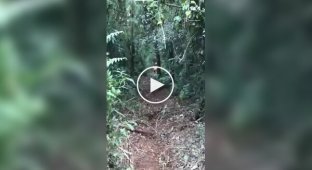 П'ятничне мотоциклетне відео