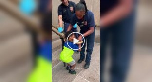 Пришлось вмешаться спасателям: четырехлетний мальчик застрял в металлическом ограждении