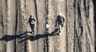 Two Russian occupiers were walking across the field and were spotted by a drone from the Aerobomber squad; one was clearly injured