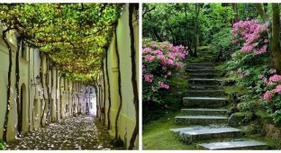15 Stunning Examples of Smart Building and Proper Gardening (16 Photos)