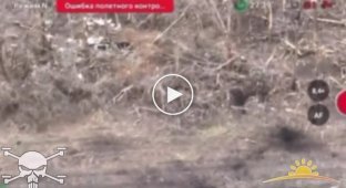 Donetsk region, Ukrainian kamikaze drone arrives at the head of a Russian military man