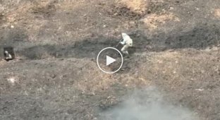 Video of trench battles for Bakhmut. Soldiers of the Armed Forces of Ukraine do not leave any of the Russian scum alive